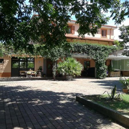 Guesthouse Skofije Ob Parenzani Spodnje Skofije Exterior foto