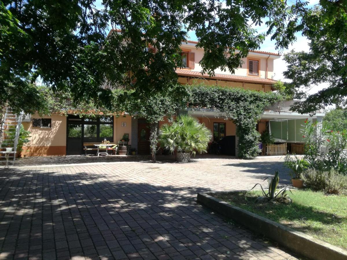 Guesthouse Skofije Ob Parenzani Spodnje Skofije Exterior foto